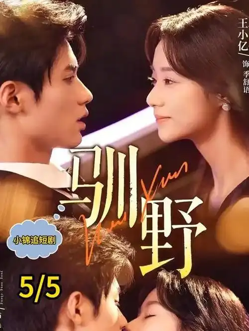 归途列车年代剧全集手机在线观看